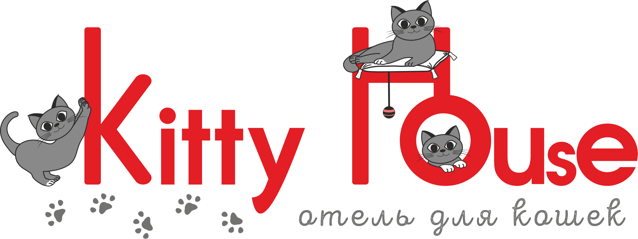 Контактный кот_1